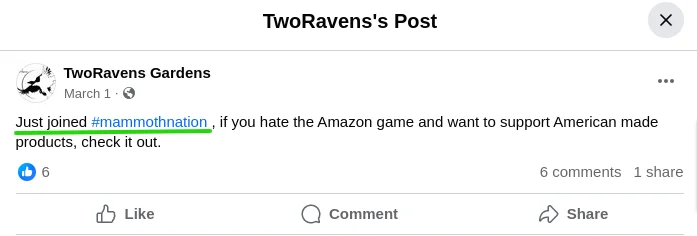 Mammothnation Facebook Review