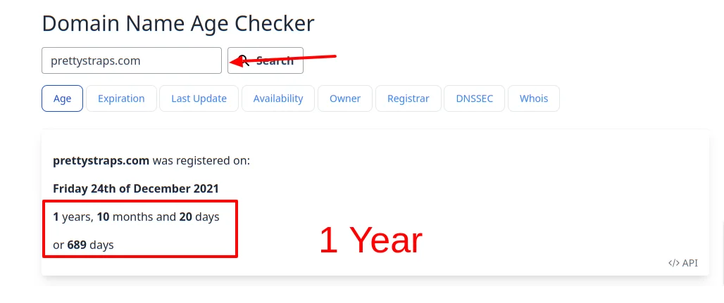 Domain Name Age Checker