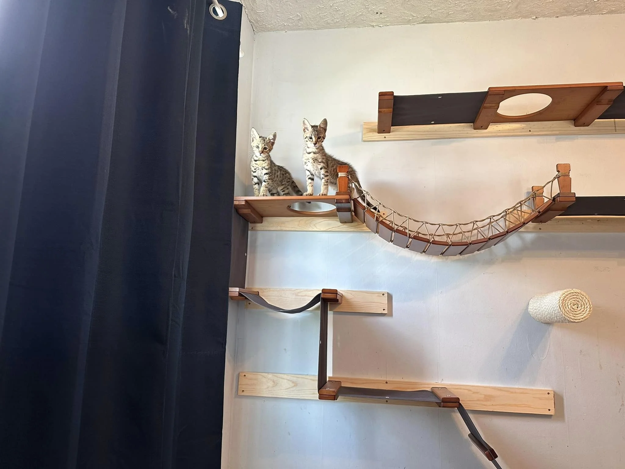 Catastrophic Creations Product