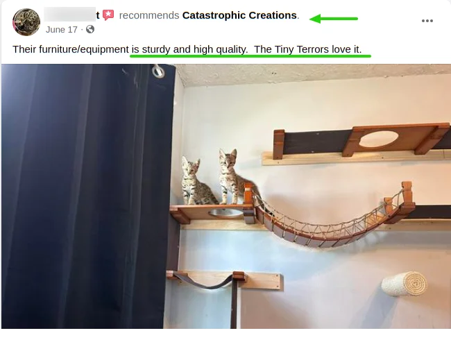 Catastrophic Creations Review 1