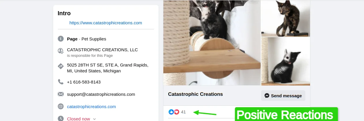 Facebook Positive Reactions