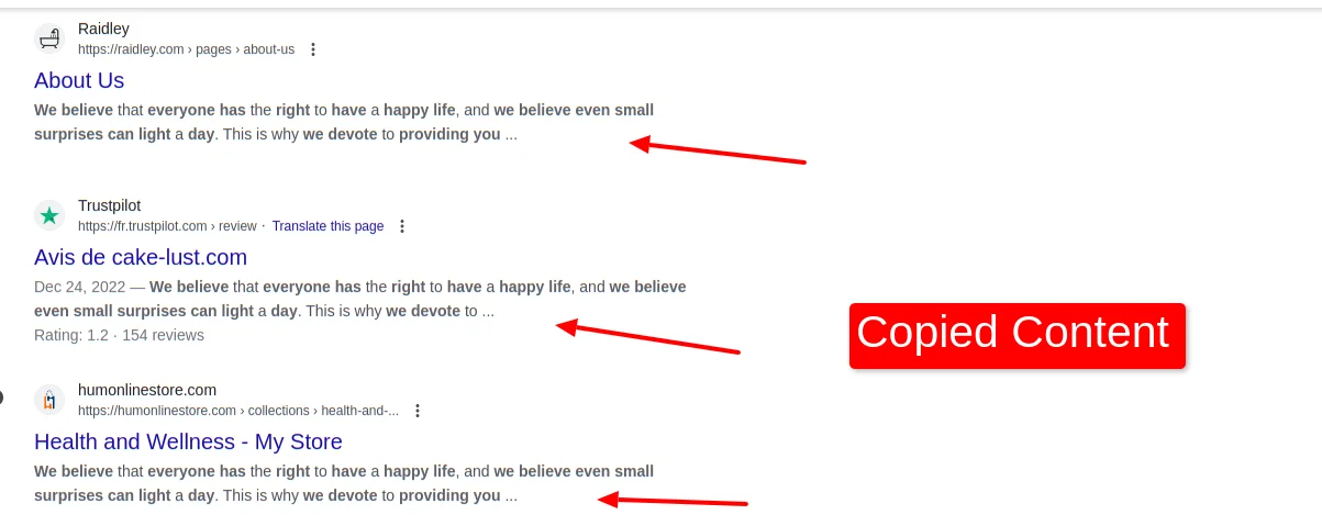 Copied Content Search