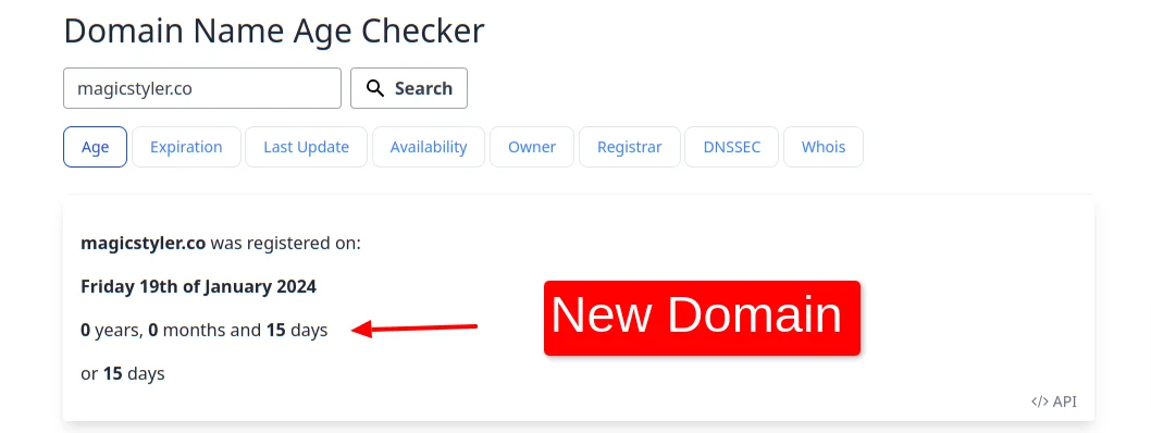 Magicstyler Domain Age