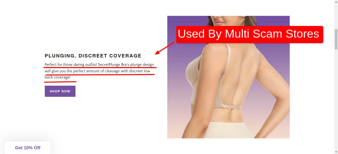 Fitcharmtm Home Of The Secretplunge Bra Content