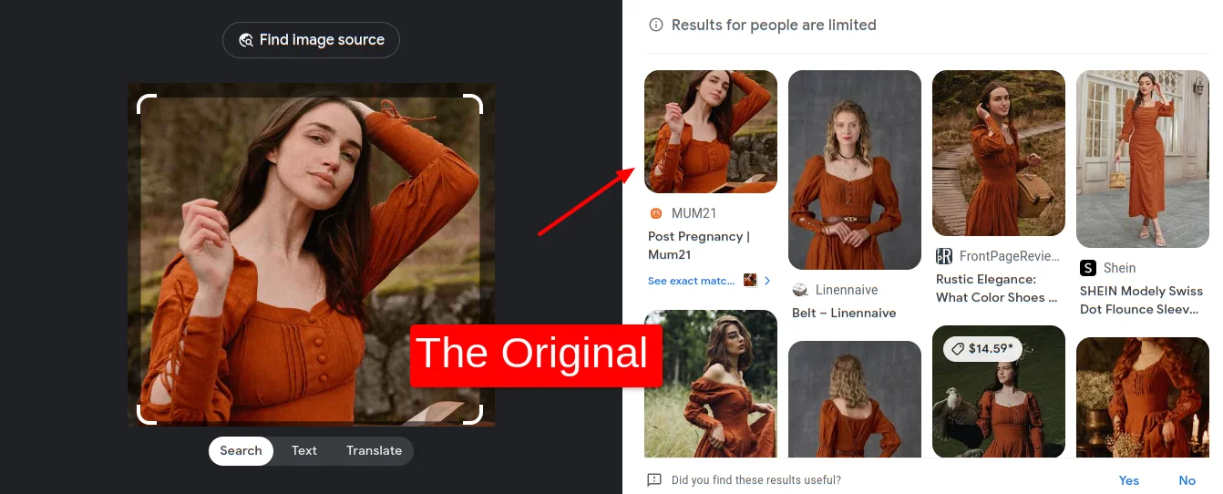 Google Lens Check Image