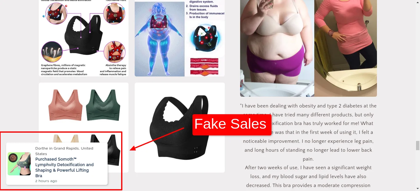 Fake Sales Bellnee