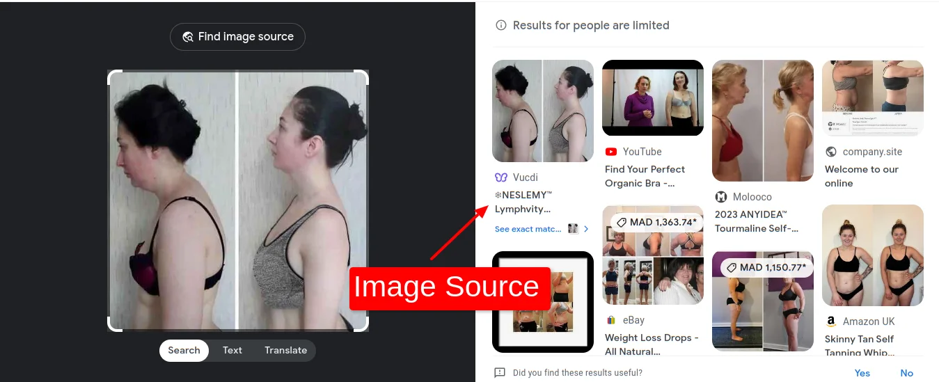 Google Lens Image Source