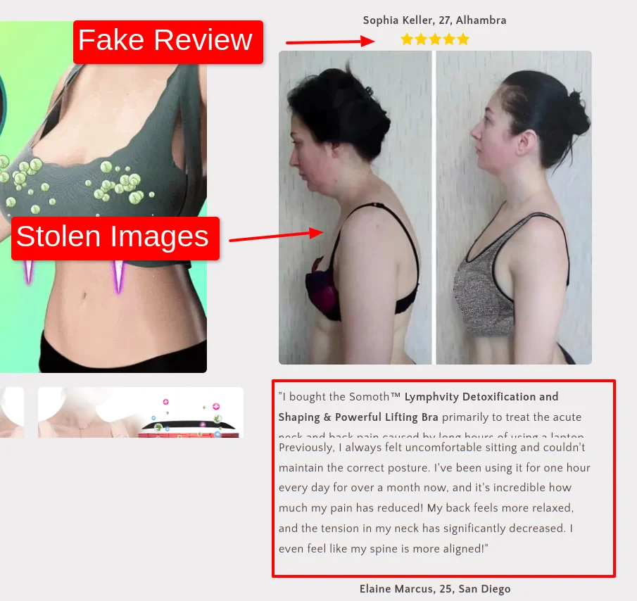 Powerful Lifting Bra Fake Reviews Bellnee