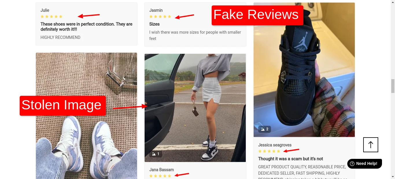 Fake Reviews